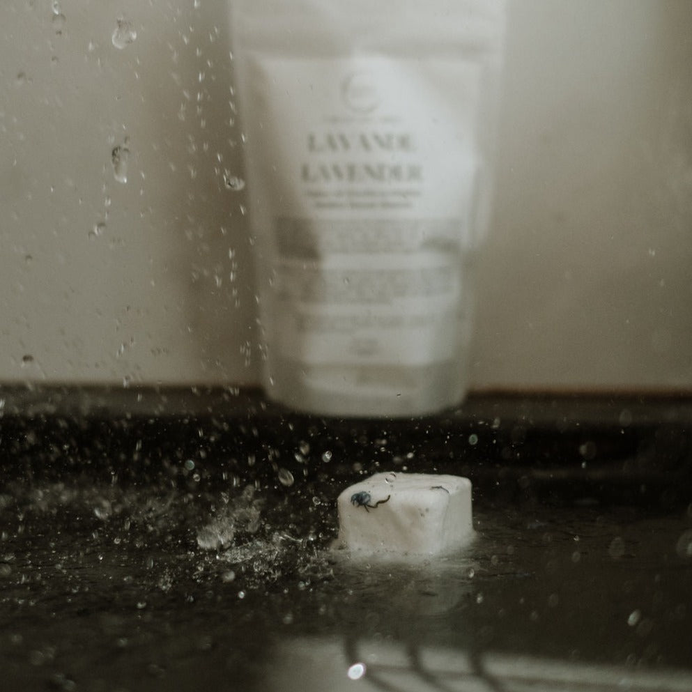 LAVENDER | shower steamer