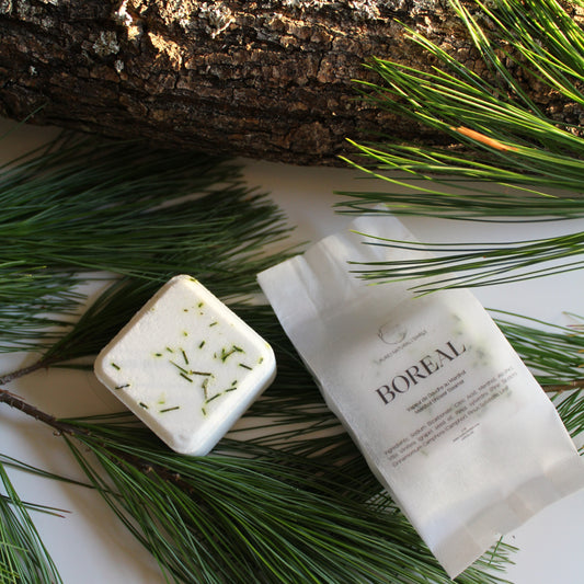 BOREAL | single shower steamer